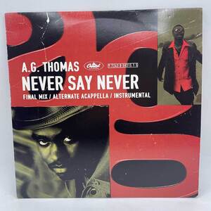 【中古】A.G. THOMAS NEVER SAT NEVER LP レコード ソウル ファンク