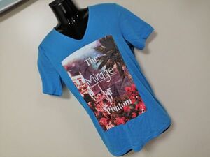 kkaa1069 ■ Bluegill ■ ブルーギル Tシャツ カットソー トップス Vネック 半袖 ターコイズブルー 青 水色 L