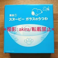 ボカロ マグカップ コップ 2点セット 新品未使用 非売品 レア物 希少品