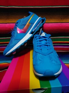 NIKE AIR MAX PRE-DAY BT ナイキ エアマックス プリディ ビートゥルー 新品 未使用 US10.5 28.5cm ブルーレインボー DD3025-400 RAINBOW 