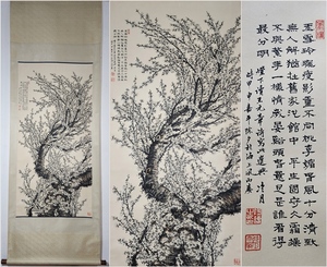 古美術 掛け軸 中国・近現代 「陶冷月書」 紙本 【梅花図】 立軸 書道 巻き物 真筆逸品 肉筆保証 唐物 古画 LT-2408180