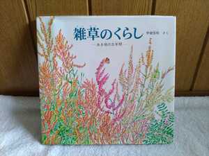 中古 本 雑草のくらし あき地の五年間 甲斐信枝 福音館書店 1985年 京都 比叡山 観察絵本 草 花 実ドラマ 詩 生命