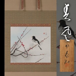 【深和】堂本印象 花鳥画『春風』共箱 真筆（帝室技芸員 近代日本画 写実画 帝展画家 春掛け 梅花 クロツグミ 文化勲章）