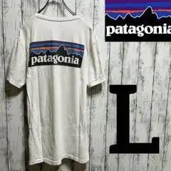 patagonia  バックロゴ　半袖　ホワイト　メンズL