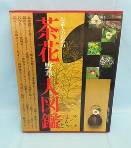 ◆書籍 お茶人のための 茶花野草大図鑑 世界文化社 平成8年 茶道