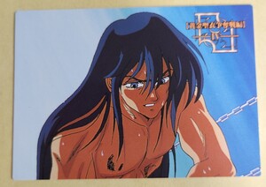 聖闘士星矢　カード　紫龍　アマダ　セイントセイヤ　saint seiya