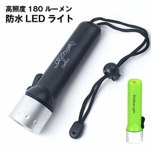 ダイビング懐中電灯 IPX8防水 LEDライト ダイビングライト 明るさ180ルーメン 防災 懐中電灯 潜水ライト SFHDLED43/ブラック