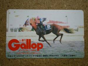 I1566A・Gallop　ヒダカハヤト　抽プレ　競馬　テレカ