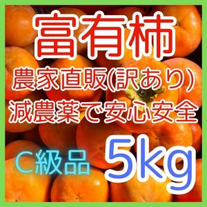 【C級品】甘柿の王様 減農薬 安心安全な かつらぎ産 富有柿 訳あり 5キロ 送料は地域別 甘くて美味しい 業務用にも使える persimmon