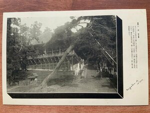 FF-9676 ■送料込■ 奈良県 二月堂 神社 寺 宗教 寺院 風景 建築物 建物 古都 大和 名所 石段 レトロ 絵葉書 古葉書 写真 古写真/くNAら