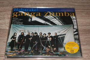 GANGA ZUMBA (ガンガ・ズンバ / 宮沢和史 / 高野寛)　新品未開封・廃盤CD「HABATAKE!」