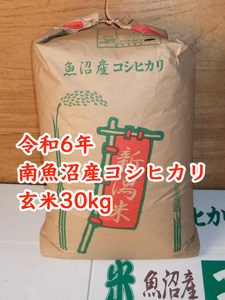 令和6年★新米★南魚沼産コシヒカリ★玄米30kg★産地直送