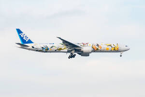 飛行機 デジタル 画像 ANA 全日空 ポケモン イーブイジェットNH 1