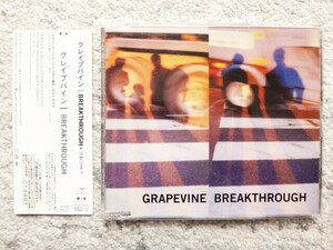 D【 GRAPEVINE グレイプバイン / BREAK THROUGH 】プロモーション用・見本盤　CDは４枚まで送料１９８円