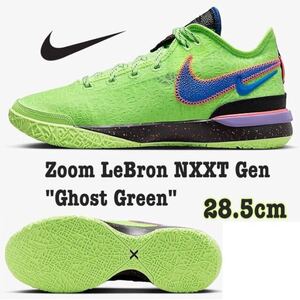 Nike Zoom LeBron NXXT Gen Ghost Greenナイキ ズーム レブロン NXXT ジェン ゴーストグリーン（DR8788-300）グリーン28.5cm箱あり