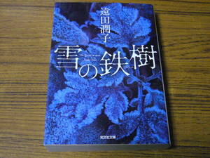 ●遠田潤子 「雪の鉄樹」　(光文社文庫)