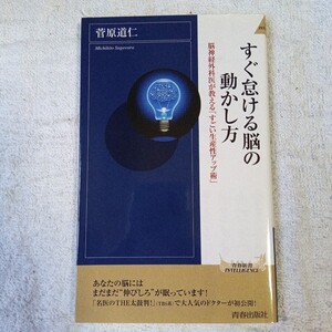 すぐ怠ける脳の動かし方 (青春新書インテリジェンス) 菅原 道仁 9784413045902