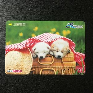 山陽/動物「子犬」ーエスコートカード(使用済/スルッとKANSAI)