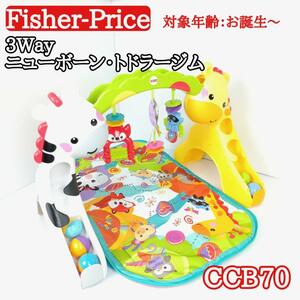 【美品　付属品完備】　フィッシャープライス 3way ニューボーン・トドラージム CCB70