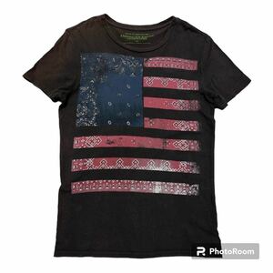 アメリカンイーグル 正規品 星条旗 ビッグロゴ 半袖 Tシャツ クルーネック　　デカロゴ AMERICAN EAGLE ペイズリー 柳8038