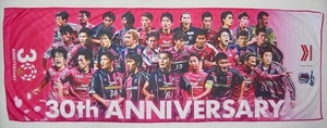 送料無料 希少 非売品 新品未使用品 セレッソ大阪 30周年記念 ヤンマーオリジナル冷感タオル CEREZO OSAKA C大阪 グッズ 香川真司 毎熊晟矢