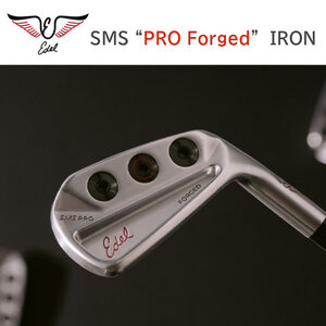 ★☆限定CUSTOMアイアン　EDEL　“ SMS PRO Forged IRON ”　5～P　6本　新品☆★