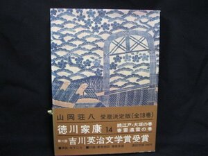 徳川家康　14　続江戸・大阪の巻　春雷遠雷の巻/EEZＢ