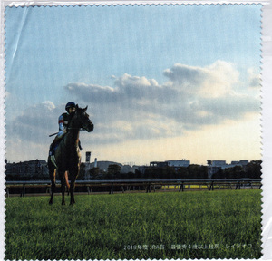 JRA 日本中央競馬会 2019年 WINS day ウインズデー オリジナルグッズ マルチクロス レイデオロ 配布品 未使用