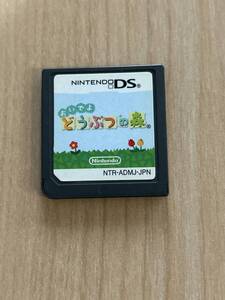 ● Nintendo DS どうぶつの森　●