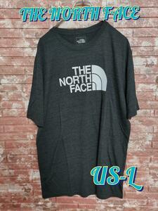 THE NORTH FACE ノースフェイス 半袖Tシャツ グレー US-L