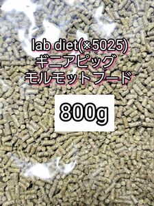 ギニアピッグ ラブダイエット 5025 モルモットフード 800g lab diet デグー チンチラ モルモット 小動物