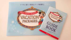 【未使用新品】ディズニー 2019winter バケーションパッケージ限定クリアファイル＆ガイドブック ステッカー付き