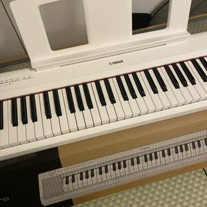 YAMAHA NP-15