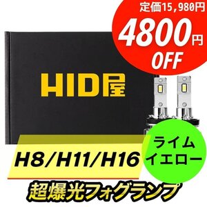 【4800円OFF】限定セール【送料無料】HID屋 LED 超爆光 フォグランプ ライムイエロー H8/H11/H16 車検対応 安心保証 パッソなどに