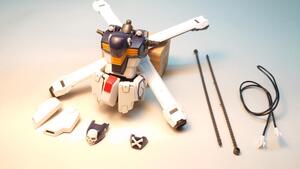 MG 1/100 クロスボーンガンダムX-1 Ver.Ka　胴体※スミ入れアリ　ガンプラ 完成品 ジャンク