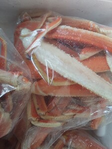 特売ズワイガニ足250gセット398円即決