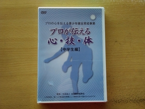 即決 美品DVD プロが伝える 心・技・体「中学生編」メンタル/テクニック/コンディショニング 監修/全国野球振興会