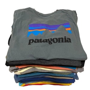 パタゴニア　アメリカ古着　半袖　プリント　Tシャツ　60着　セット　まとめ売り　patagonia メンズ