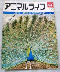 古書◆雑誌◆S47年 週刊アニマルライフ第４９号 ◆ クジャク★クサグモ★クサムラドリ★クサリヘビ★クシクラゲ★クスクス