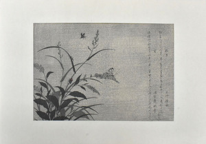 三大浮世絵師：喜多川歌麿　　純手刷木版画　　巨匠・出世作・虫えらみ　「松虫と蛍」　　　※額付き　　　　正光画廊　