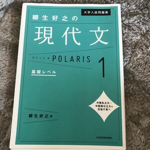 柳生好之の現代文ポラリス1 基礎レベル 角川文庫