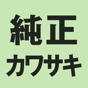 KAWASAKI(カワサキ) バイク ネジ・ビス 【純正部品】ナベコネジ(+ジアナ).4X14 220AA0414