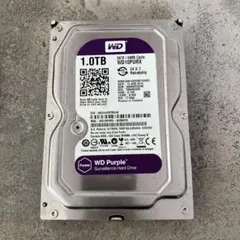 WD Purple 1TB HDD WD10PURX