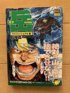 石塚真一 激レア！「岳-ガク- みんなの山 プロフェッショナル編」 初版第1刷本 激安！