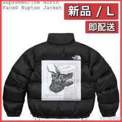 Supreme x The North Face Nuptse Jacket