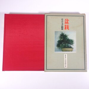 盆栽 仕立て方と観賞 林哲也・引田春海 永岡書店 1971 函入り大型本 園芸 ガーデニング 植物 盆栽