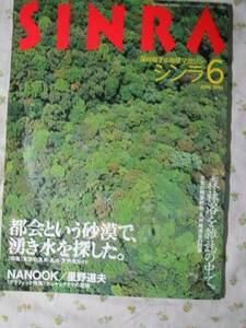 1994.6 シンラ【NANOOK ホッキョクグマの聖域 17P】 星野道夫 ◇