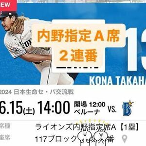 埼玉西武ライオンズ　横浜DeNAベイスターズ　6/15 内野指定席A 2連番