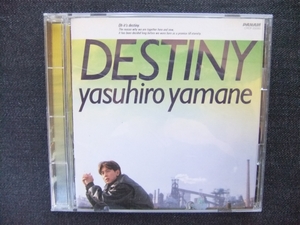 CDアルバム　山根康広　　DESTINY 　