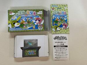 GBA 美品　お茶犬の冒険島　初回限定　箱説付き　珍品　レア　アドバンス